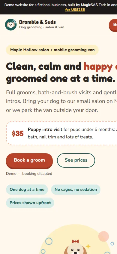 Mobile screenshot of the same demo website